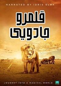 قلمرو جادویی قلمرو جادویی