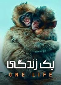 یک زندگی