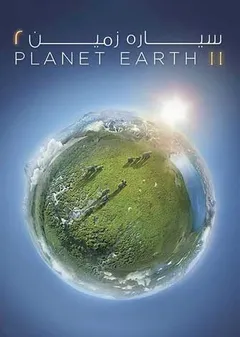 سیاره زمین