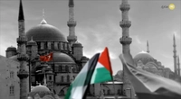 آسیایی ها به غزه می روند-gallery_9