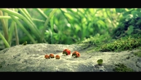 دره کوچک مورچه های گمشده-gallery_0