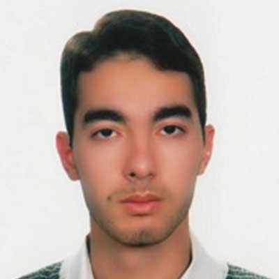 داوود مبصری