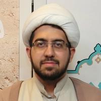 محسن تقی زاده