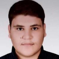 مهدی صلواتچی