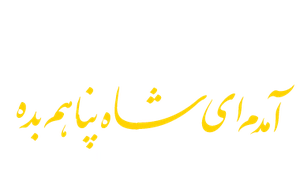 امام رضایی ها 