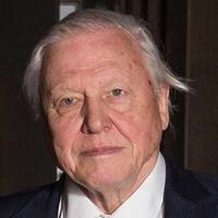 دیوید اتنبرو