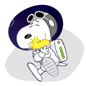 اسنوپی در فضا