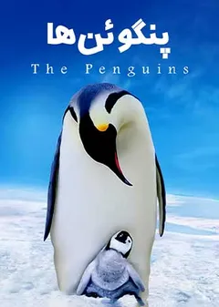 پنگوئن ها