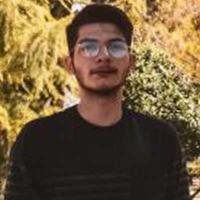 امیرحسین کاربخش راوری