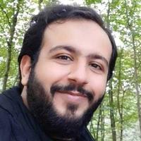 محمد سیدجوادی