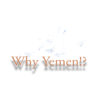 چرا یمن