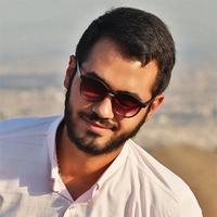 سیدحسین عربی