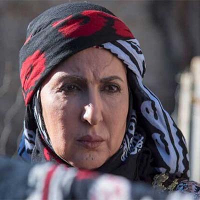 فاطمه  گودرزی