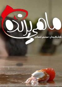 ماهی پرنده ماهی پرنده