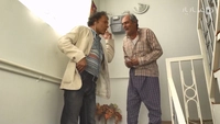 مامور-gallery_5