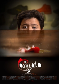 ماهی پرنده-gallery_8
