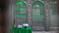 خادم الرضا(ع)-gallery_1