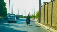 سالار ژاپنی-gallery_4