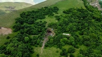 پرواز در مه-gallery_7
