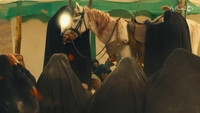 شهود سرخ-gallery_0