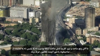 گرنفل-gallery_6