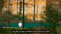 گرنفل-gallery_3