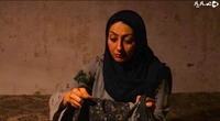 کوه سفید-gallery_1