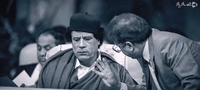 ققنوس-gallery_10