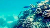 داستان بقا-gallery_11