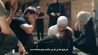 نهتاج الیک-gallery_1