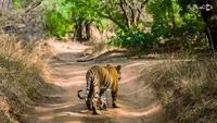 اسرار داده بزرگ-gallery_5
