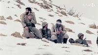 ایستاده در غبار-gallery_10