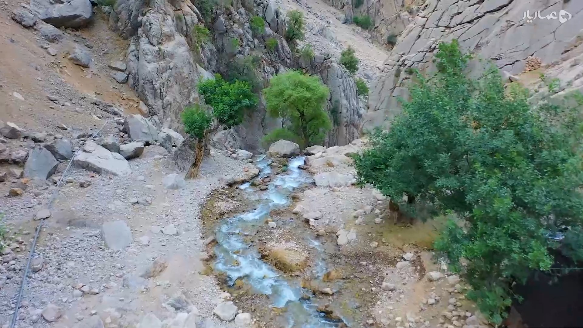 برای جمهوری-gallery_0