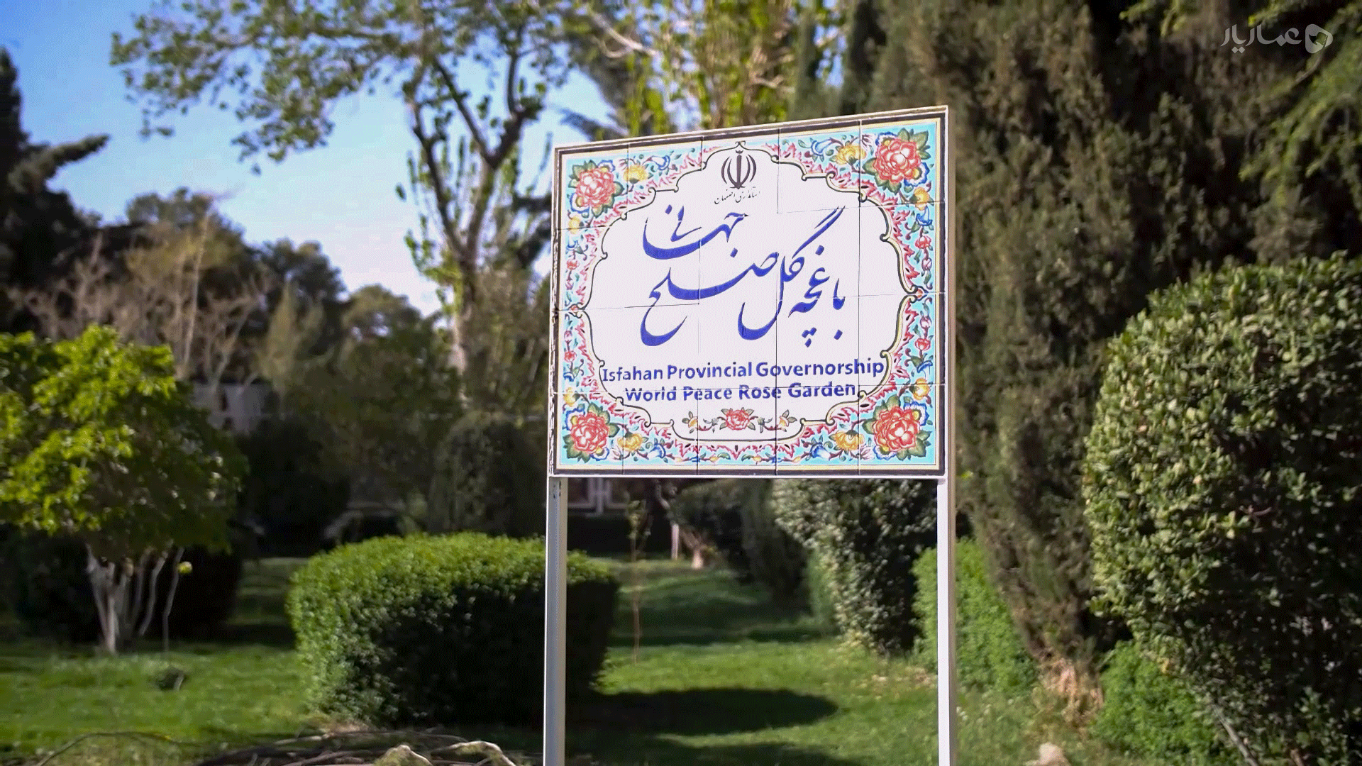 گزارش یک قتل عمد-gallery_11