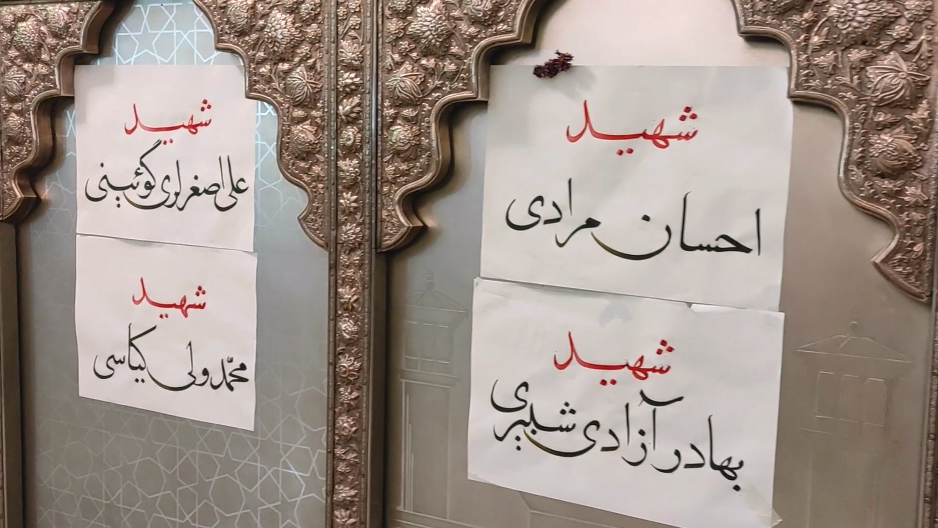 پاییزتر-gallery_10